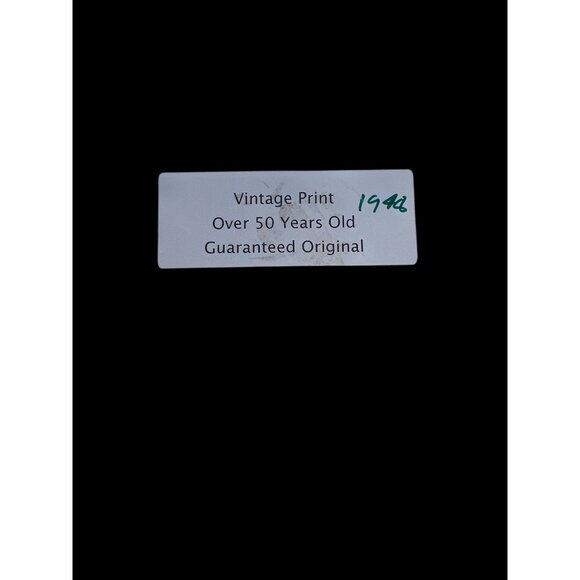 Vintage 1940s Fiery Parakeet Bird Print - Picture 4 of 5